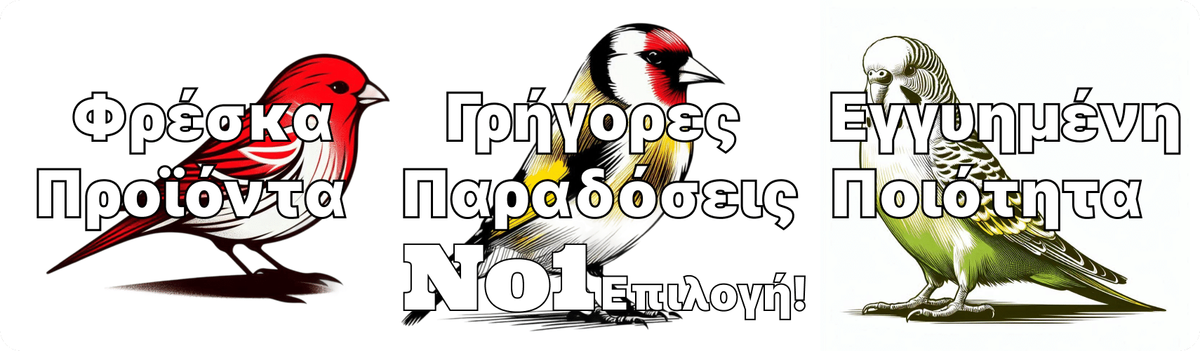 b complex για πτηνά