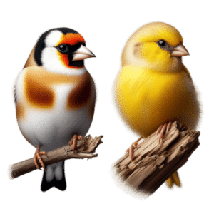 Βιταμίνη Κ για πτηνά (καναρίνια, καρδερίνες) - LANDMARK