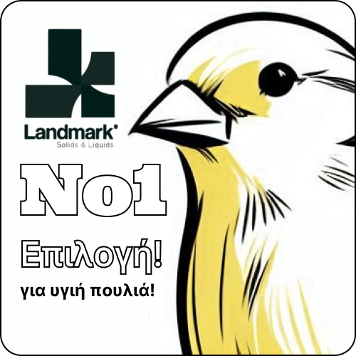 αναπαραγωγή καναρινιών