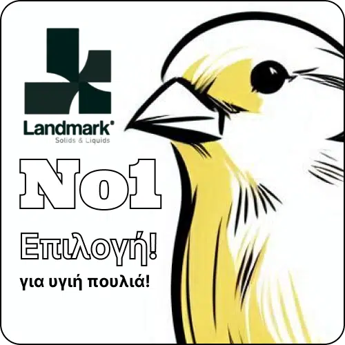 αναπαραγωγή καναρινιών