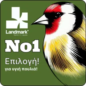 ριγανέλαιο για πτηνά