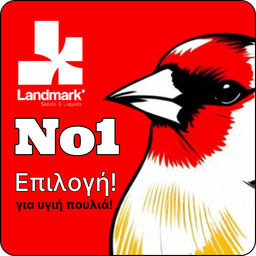 υγεία των καρδερινών