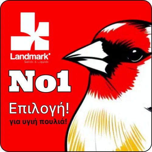υγεία των καρδερινών