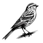 υγρό ασβέστιο για πτηνά