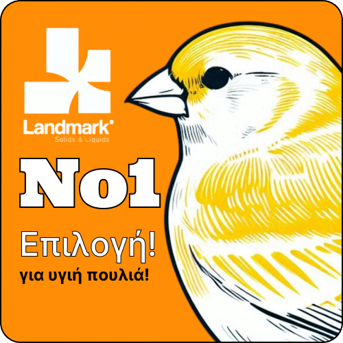 πτηνά προχωρημένης ηλικίας