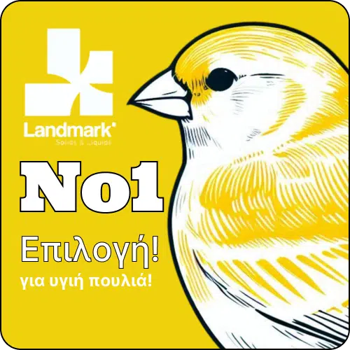 πτερόρροια καναρινιών