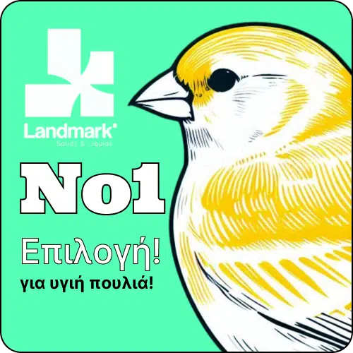προετοιμασία αναπαραγωγής