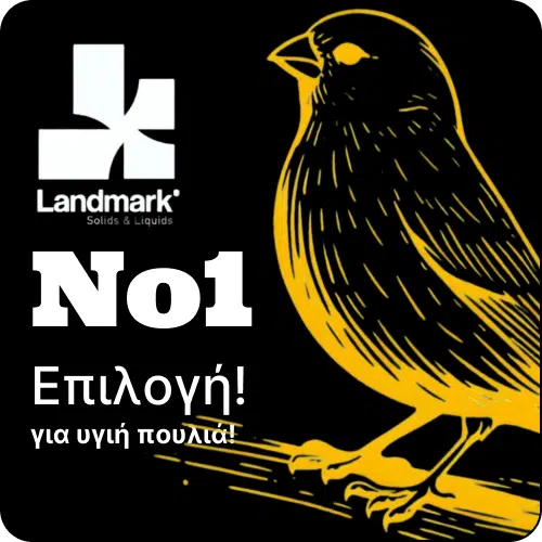 προϊόντα για πτηνά