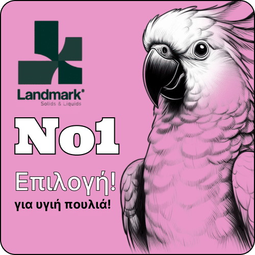 προετοιμασία αναπαραγωγής παπαγάλου