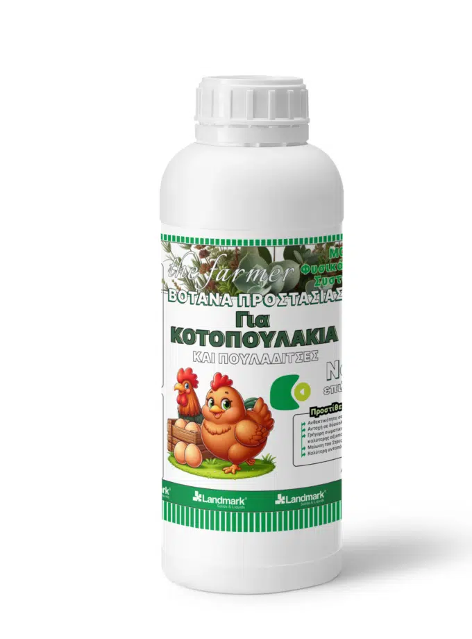 βότανα για κοτοπουλάκια