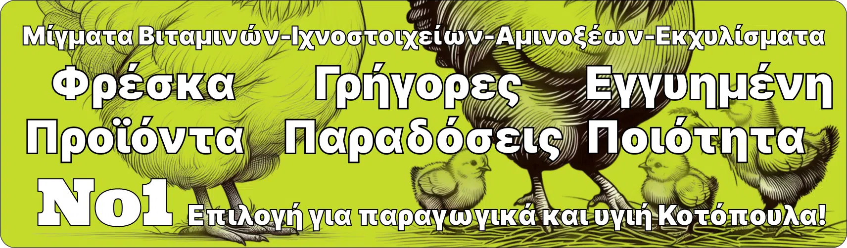 βότανα για κοτοπουλάκια