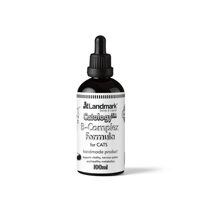 B COMPLEX FRONT 100ML