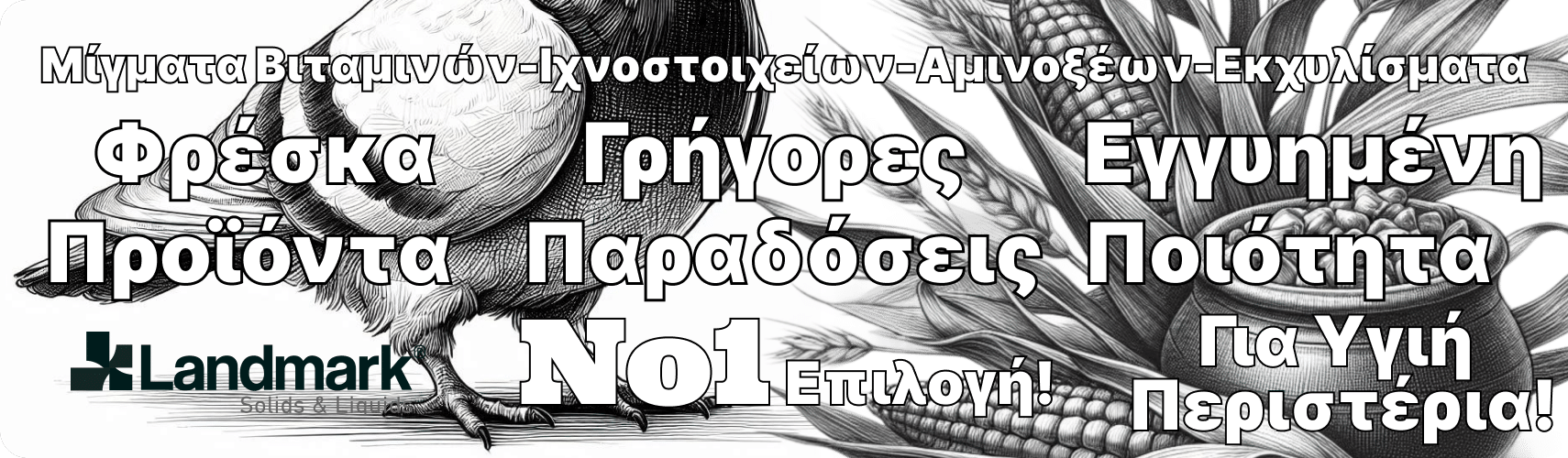 Flymax-100 ηλεκτρολύτες για Περιστέρια Landmark