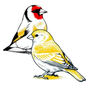 Δυναμωτικό για Πτηνά