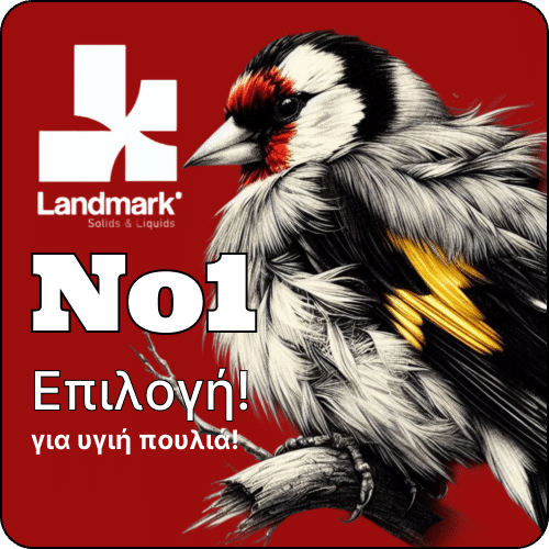 άρρωστη καρδερίνα